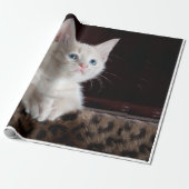 Katzenaussehen Geschenkpapier (Ungerollt)