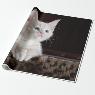 Katzenaussehen Geschenkpapier