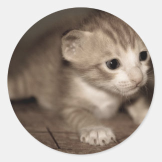 Katzenbaby 2 runder aufkleber