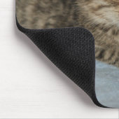 Katzenbaby Mousepad (Ecke)