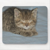 Katzenbaby Mousepad (Vorne)