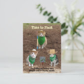 KatzenBauern, die Catmint pflanzen. Postkarte (Stehend Vorderseite)