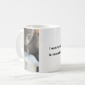 Katzenbecher, Mutterfreuden, Lustiger Becher Kaffeetasse (Vorderseite Links)