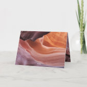 KatzenBeileid Karte (Rückseite)