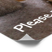 Katzenbeten Poster (Ecke)