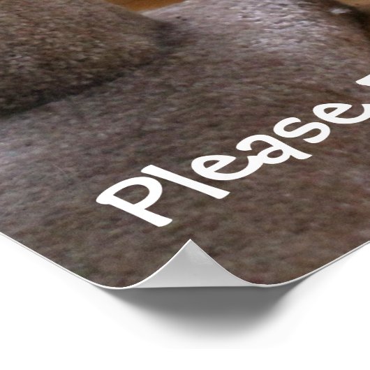 Katzenbeten Poster (Ecke)