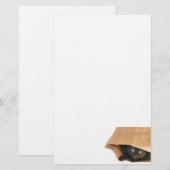 Katzenbeutel Briefpapier (Vorne/Hinten)