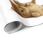 Katzenbild für Packpapier (Rolleneckpunkt)
