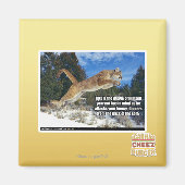 Katzenbild Magnet (Vorne)