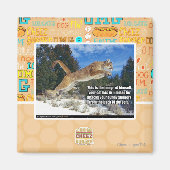 Katzenbild Magnet (Vorne)