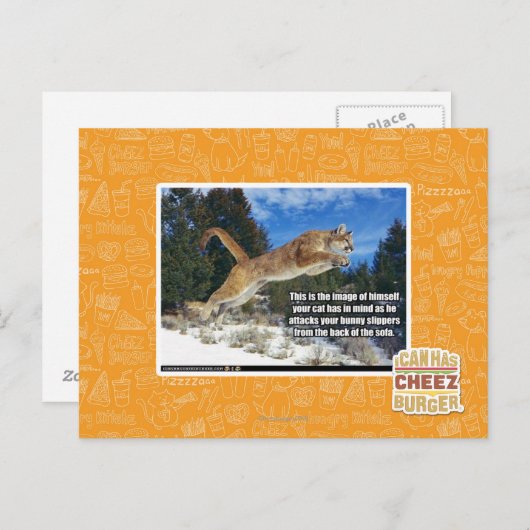 Katzenbild Postkarte (Vorne/Hinten)