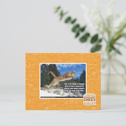 Katzenbild Postkarte (Stehend Vorderseite)