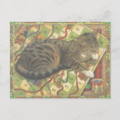 Katzenbild Postkarte (Vorderseite)