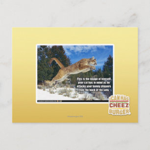 Katzenbild Postkarte