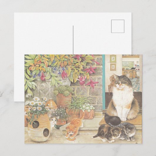 Katzenbild Postkarte (Vorne/Hinten)