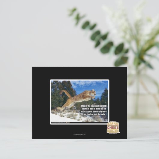 Katzenbild Postkarte (Stehend Vorderseite)