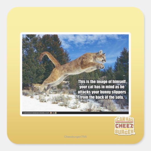 Katzenbild Quadratischer Aufkleber (Vorderseite)