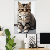 Katzenblick in der Zeit verloren Poster (Heimbüro)