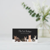 Katzenboutique Einzelhandel oder Webseite Visitenkarte (Stehend Vorderseite)