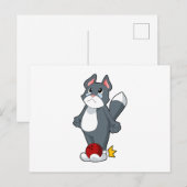 Katzenbowling Bowlingkugel Postkarte (Vorne/Hinten)
