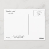 Katzenbucht Postkarte (Rückseite)