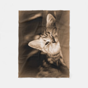 Katzendecke Fleecedecke