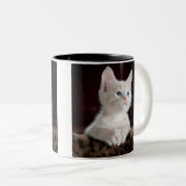 Katzendoppelte Tasse (VorderseiteRechts)