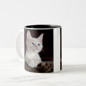 Katzendoppelte Tasse (Vorderseite Links)