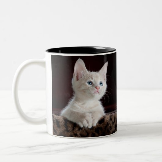 Katzendoppelte Tasse (Links)