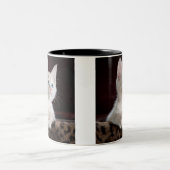 Katzendoppelte Tasse (Mittel)