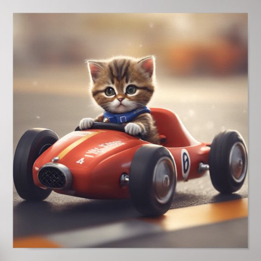 Katzenfahrt mit einem Rennwagen Poster (Vorne)