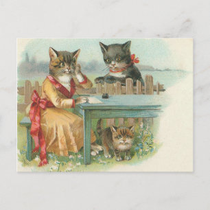 Katzenfamilien-Postkarte Postkarte