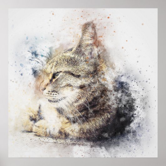 Katzenfarbe Poster (Vorne)