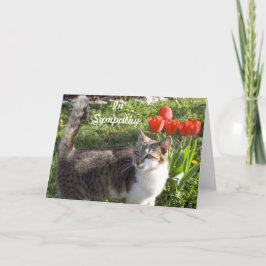 Katzenfisch Beileid mit roten Tulips Karte