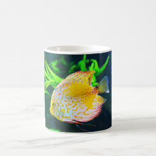 Katzenfisch Kaffeetasse