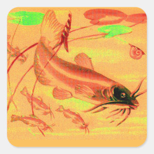 Katzenfisch Quadratischer Aufkleber