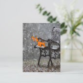 Katzenfische Schneeflocken an seinem Tong Postkarte (Stehend Vorderseite)