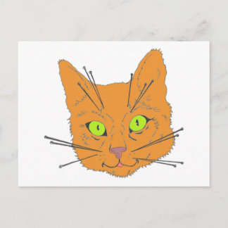 Katzenflüster Postkarte