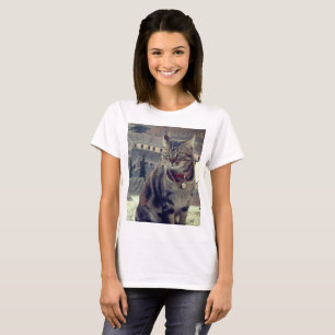 Katzenfoto Basic T-Shirt für Damen, Weiß