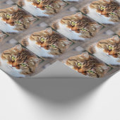 Katzenfoto Geschenkpapier (Ecke)