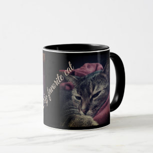 Katzenfoto, Katze, Haustiere, lustige Katze, Burgu Tasse