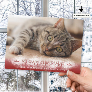 Katzenfoto MEOWY WEIHNACHTEN Schnee Rot