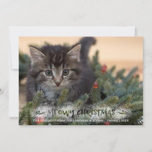 Katzenfoto-Pinsel-Schrift Schnee MEOWY WEIHNACHTEN