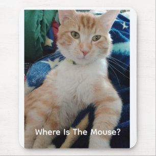 Katzenfoto-Text Anpassen Mousepad