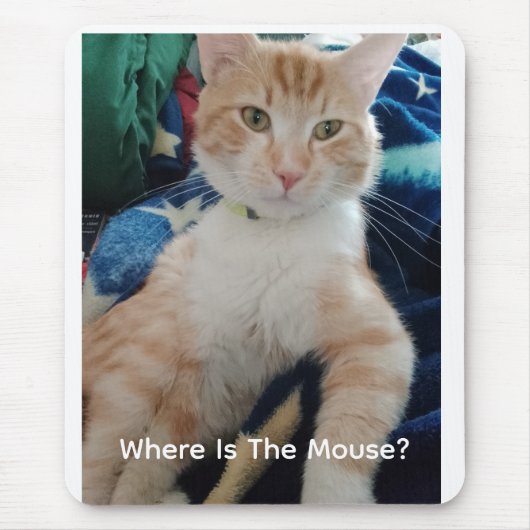 Katzenfoto-Text Anpassen Mousepad (Vorne)