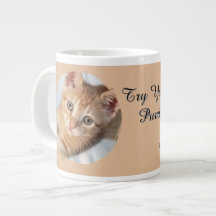Katzenfoto, Text, austauschbar, Lustig, Katzenlieb