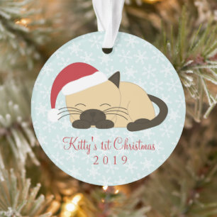 Katzenfoto Weihnachtskatze mit Zeigefinger Ornament