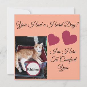 Katzenfoto, Zitate vorne und hinten, Pfote, Herz,