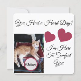 Katzenfoto, Zitate vorne und hinten, Pfote, Herz, 