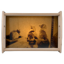Katzenfreunde